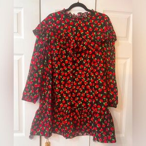 Zara Floral Print Ruffle Neck Long Sleeve Dress. Size XXL.